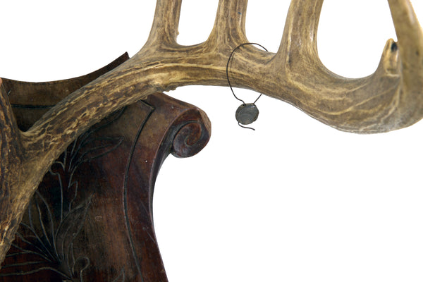 Large Set of Antlers on Carved Wooden Plaque