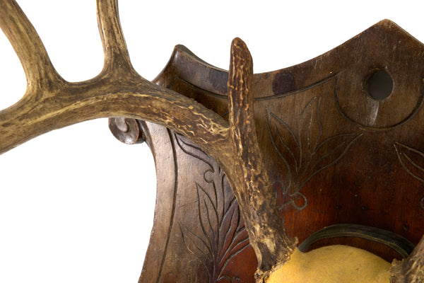 Large Set of Antlers on Carved Wooden Plaque