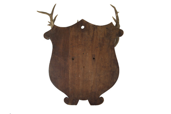 Large Set of Antlers on Carved Wooden Plaque