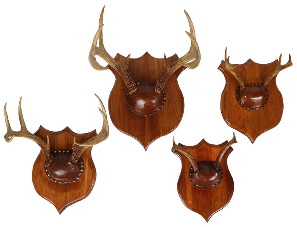 Set of 4 Vintage Mounted Deer Antlers with Leather and Brass Tacks