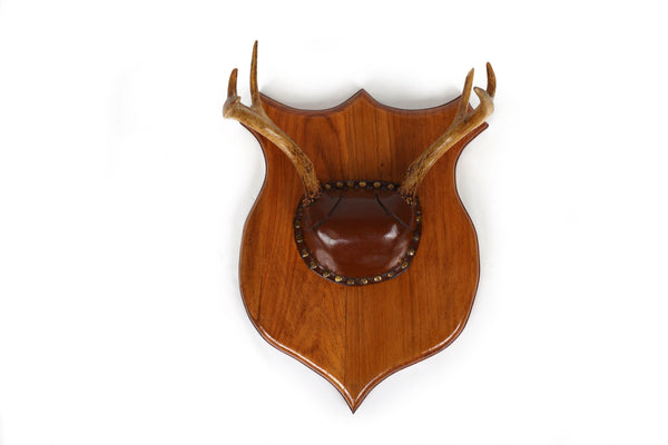 Set of 4 Vintage Mounted Deer Antlers with Leather and Brass Tacks