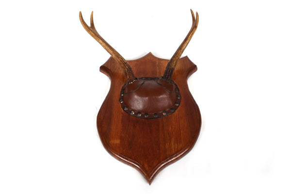 Set of 4 Vintage Mounted Deer Antlers with Leather and Brass Tacks