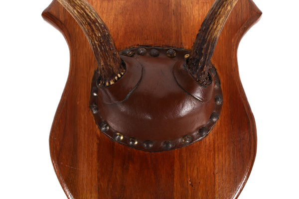 Set of 4 Vintage Mounted Deer Antlers with Leather and Brass Tacks
