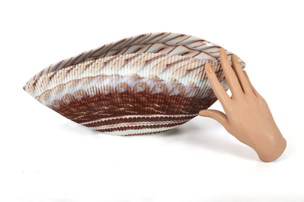 Large Yalos Murano Shell Ivory and Brown Glass Bowl - Folded Glass Centerpiece