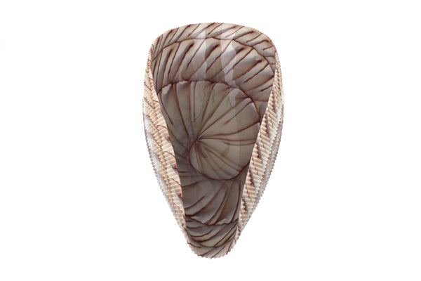 Large Yalos Murano Shell Ivory and Brown Glass Bowl - Folded Glass Centerpiece