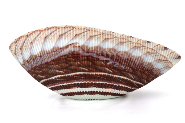 Large Yalos Murano Shell Ivory and Brown Glass Bowl - Folded Glass Centerpiece