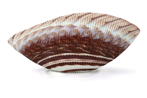 Large Yalos Murano Shell Ivory and Brown Glass Bowl - Folded Glass Centerpiece