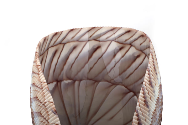 Large Yalos Murano Shell Ivory and Brown Glass Bowl - Folded Glass Centerpiece