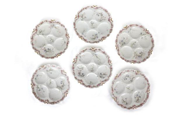 Set of 6 Antique Haviland & Co. Limoges Oyster Plates
