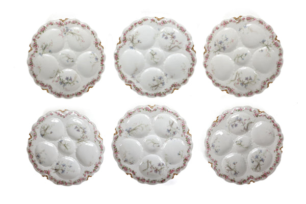 Set of 6 Antique Haviland & Co. Limoges Oyster Plates